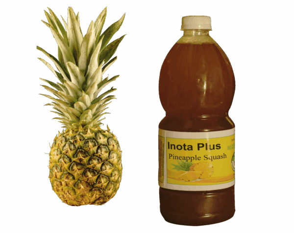 🍍 Pineapple Juice – 1L Bottle (Carton of 15)